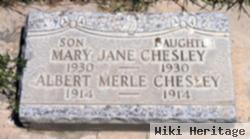 Mary Jane Chesley