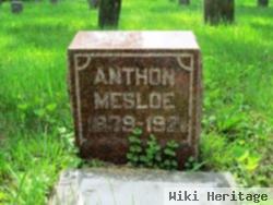 Anthon Mesloe