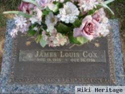 James Lewis Cox