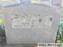 Annie Margaret Cole Arnold