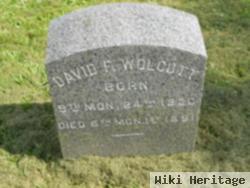 David File Wolcott