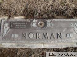 Richard S Norman