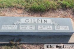 Mary Jane Gilpin