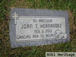 Joan T. Hernandez