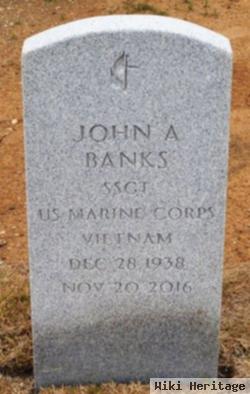 John A Banks