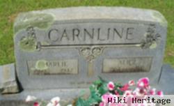 Alice Fox Carnline