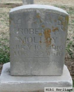 Robert Powell Molloy