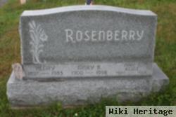 Mary K. Rosenberry