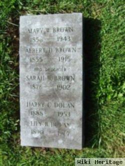 Mary Ann Walker Brown