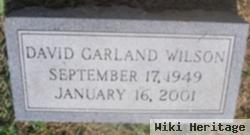 David Garland Wilson