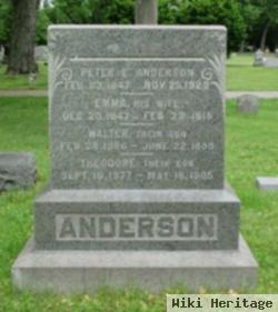 Walter Anderson