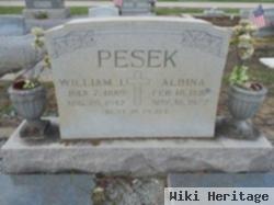 William J Pesek