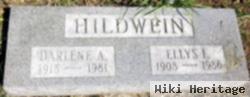 Darlene A. Kizzier Hildwein