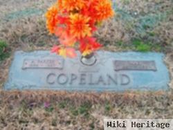 Johnnie Mae Mcfarland Copeland