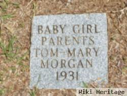 Baby Girl Morgan