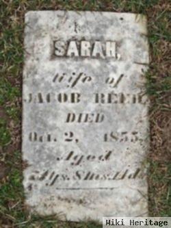 Sarah Walker Reed