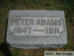 Peter Adams