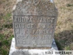 Audra Janet Fowler