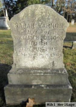 Sarah Farnum Fowler Holbrook