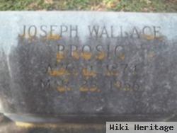 Joseph Wallace Brosig