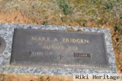 Mary Frances Adkins Pridgen