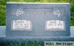 Albert C. Luster