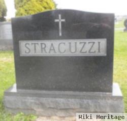 Vincent J Stracuzzi
