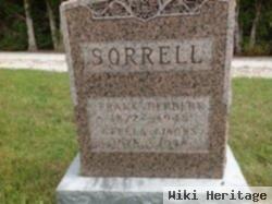 Frank Herbert Sorrell