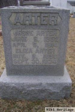 Eliza Ann Kinser Arter