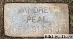 Andrew J Peal