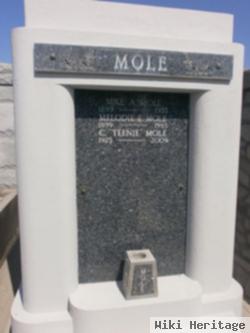 Melodie E. Mole