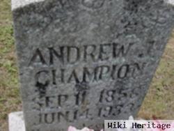 Andrew J Champion