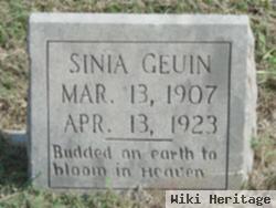 Sinia Geuin