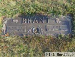 Fern S Shober Brant