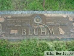 Allan Henry Bluhm