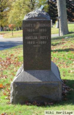 Amelia Hoyt