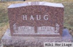 Henry Ingval Haug