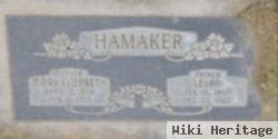 Mary Elizabeth Jenkins Hamaker