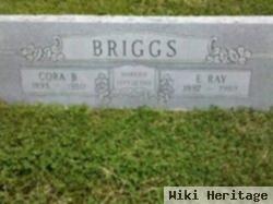 E. Ray Briggs