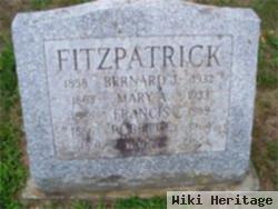 Mary Ann Fitzpatrick