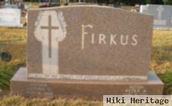 Peter A Firkus