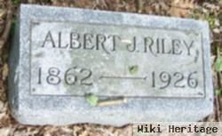 Albert J Riley