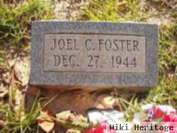 Joel C Foster