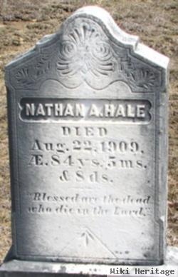 Nathan Adams Hale