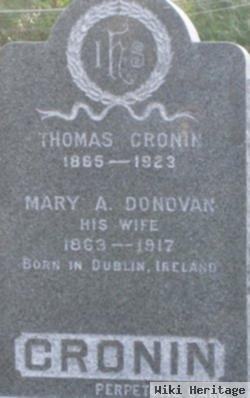 Thomas Cronin