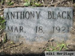 Anthony Black