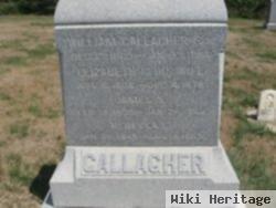 Rebecca E Gallagher