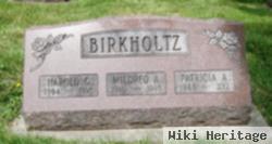 Harold G. Birkholtz