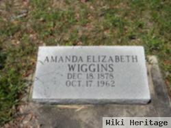 Amanda Elizabeth Elliot Wiggins