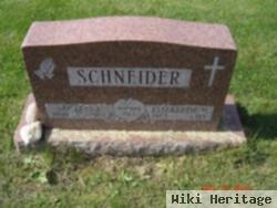 Elizabeth M Schaefer Schneider